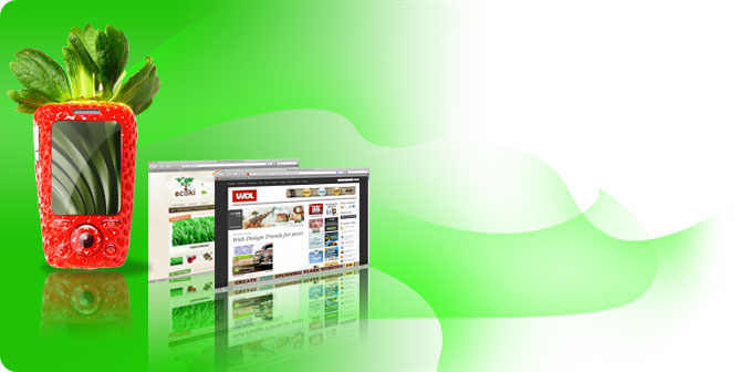 Web design & mobile website design