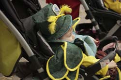carnaval-patra-20124406